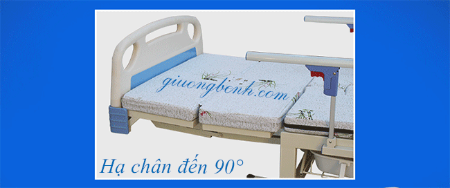 Giường DCN15